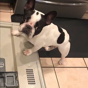 Meet your Posher, Stacy